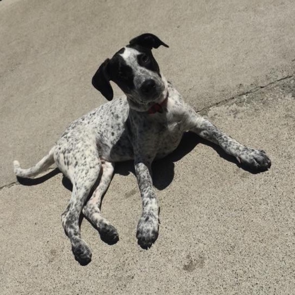 Meet your Posher, Shelley - Picture 1 of 1